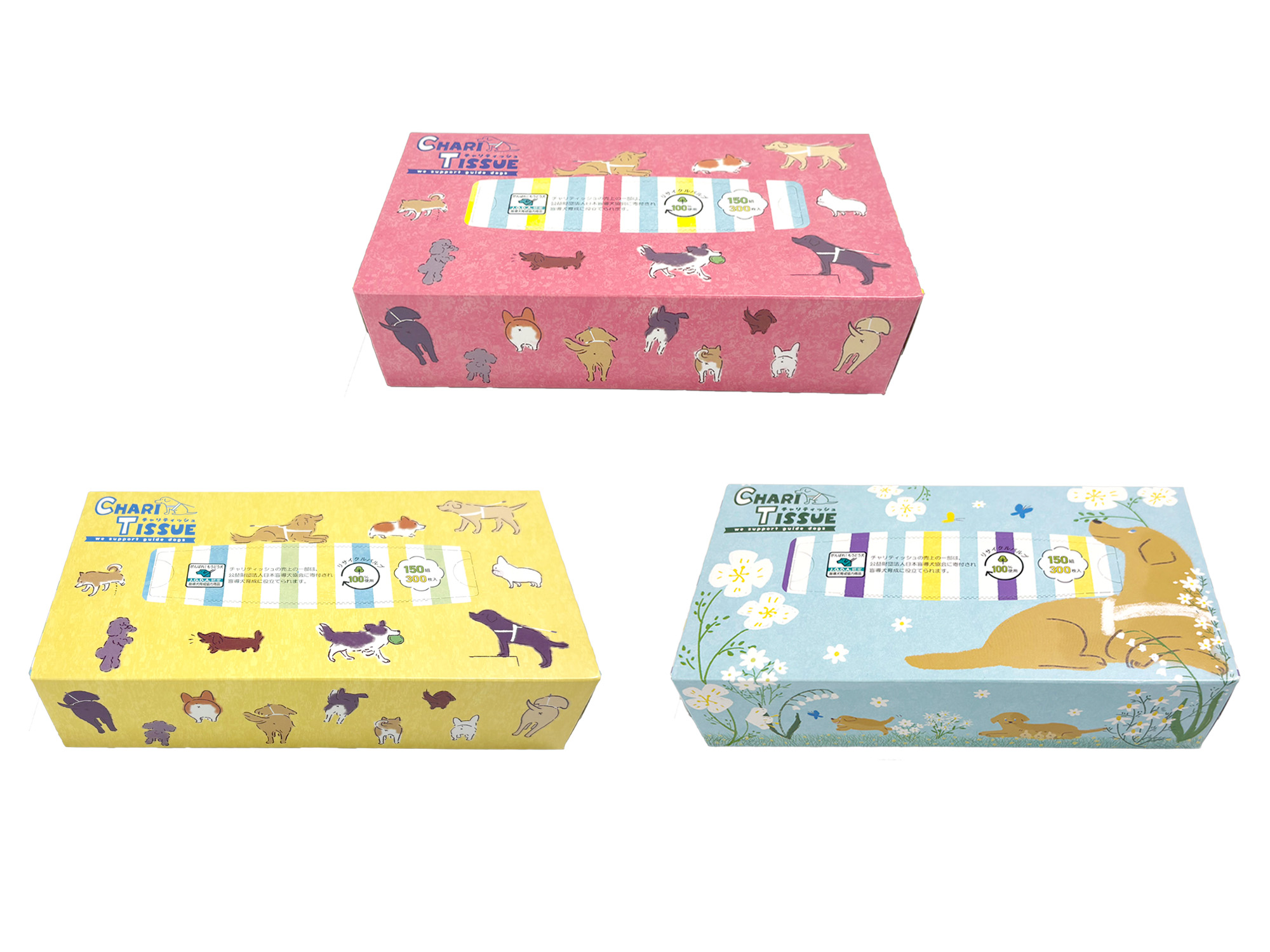 チャリティッシュ 150組 5個パック